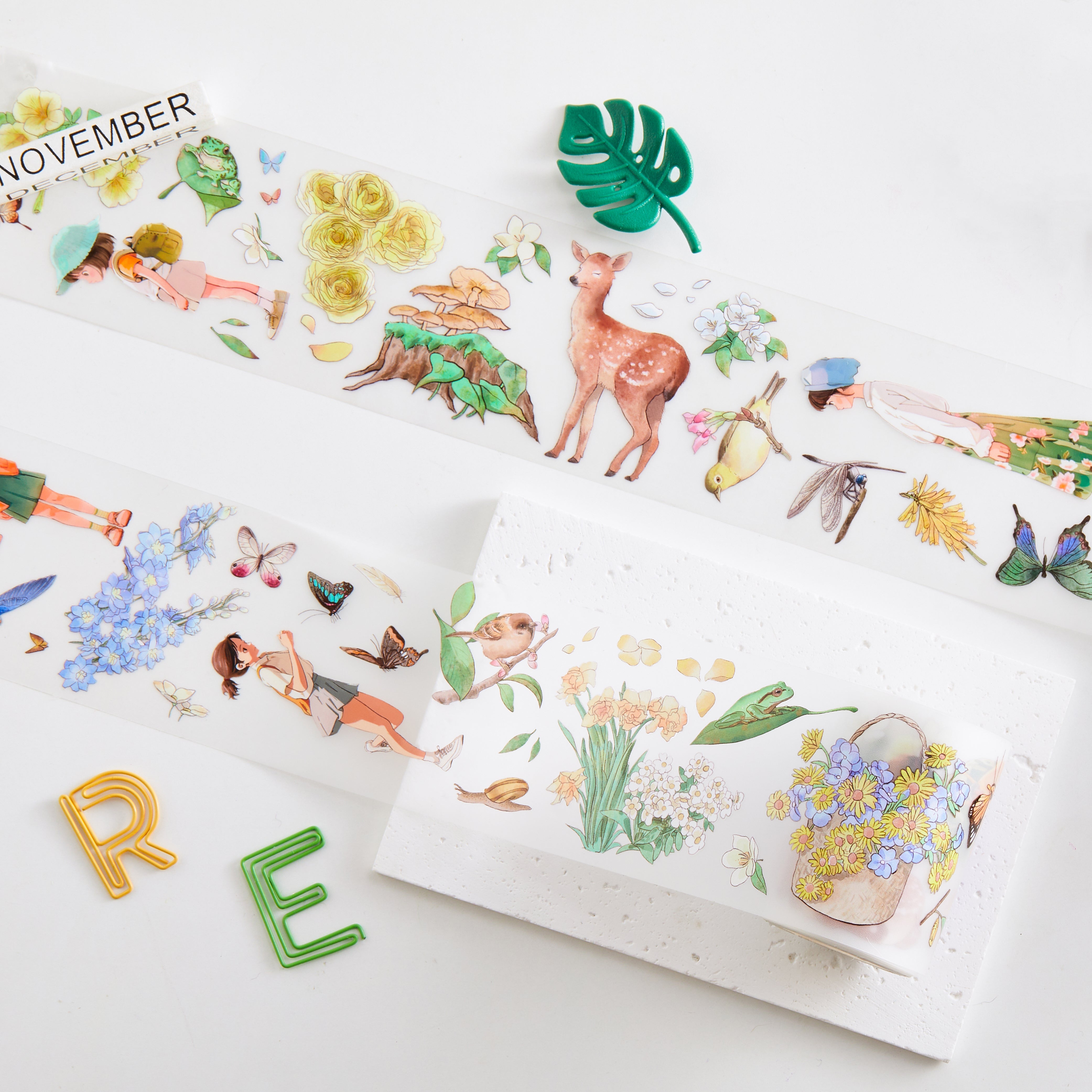 Shiimmer Spring Outing PET Tape 6cm x 5m