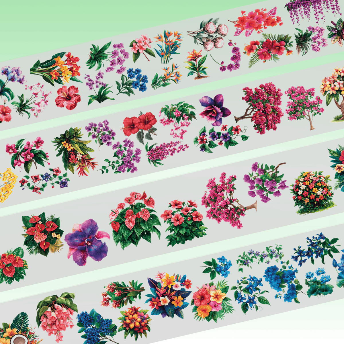 Queens Art Tropical Flowers PET tape 10cm x 2,5m