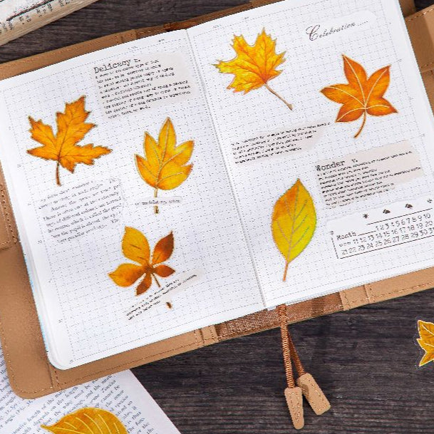 Maple Leaf Story Series PET Stickers 30 Sheets 6 Styles image 1