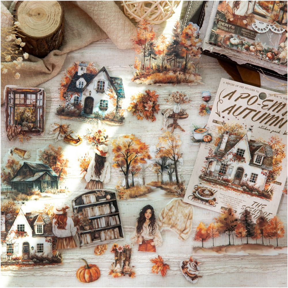 Autumn Series Retro PET Stickers 30 Pcs 6 Styles image 1