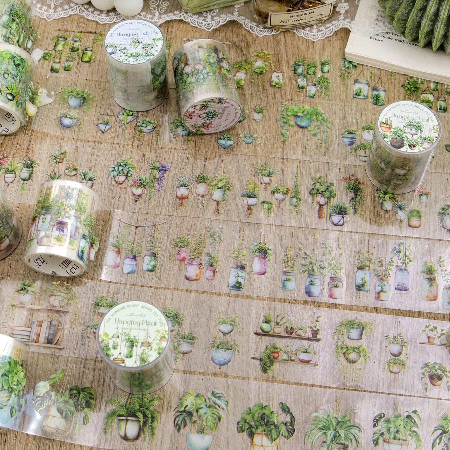 Hanging Plant Series – PET Tape, 2m - ViktaShop