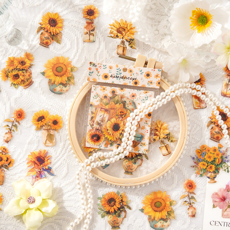 PET Sticker Pack, Kaleidoscope Series, 6 Options - ViktaShop