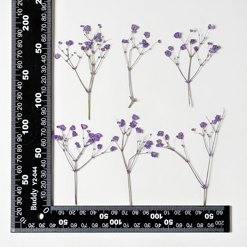 Dried Flower Stickers – Colorful Plant Material DIY, 9 Options - ViktaShop