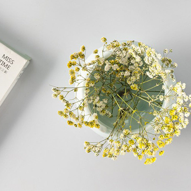 Dried Flower Stickers – Colorful Plant Material DIY, 9 Options - ViktaShop