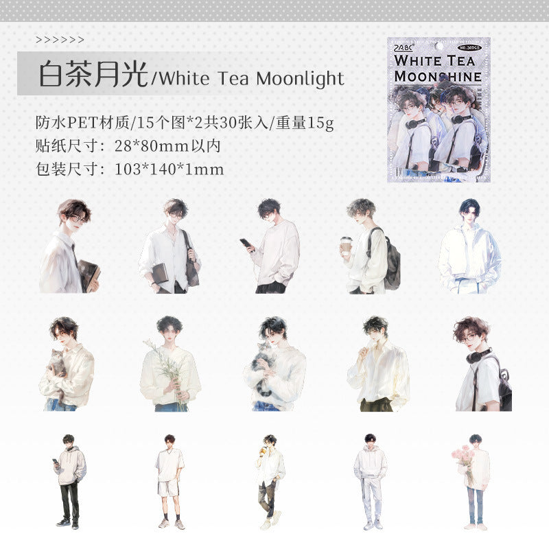 PET Stickers – Transparent Character Sticker Pack - ViktaShop