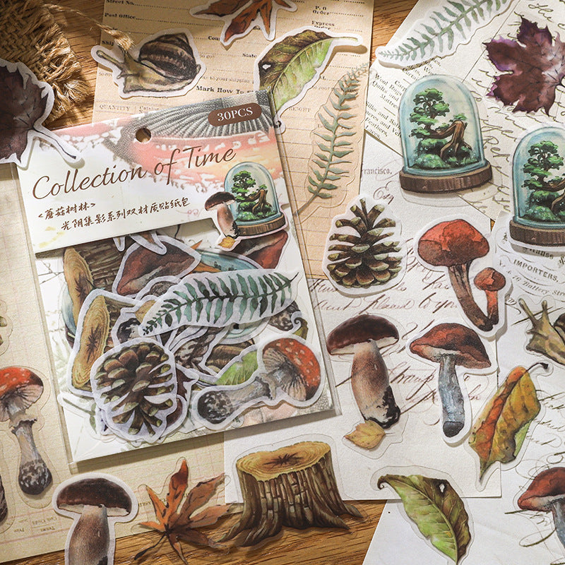 Paper Sticker Pack Time and Shadow Collection, 6 Options - ViktaShop