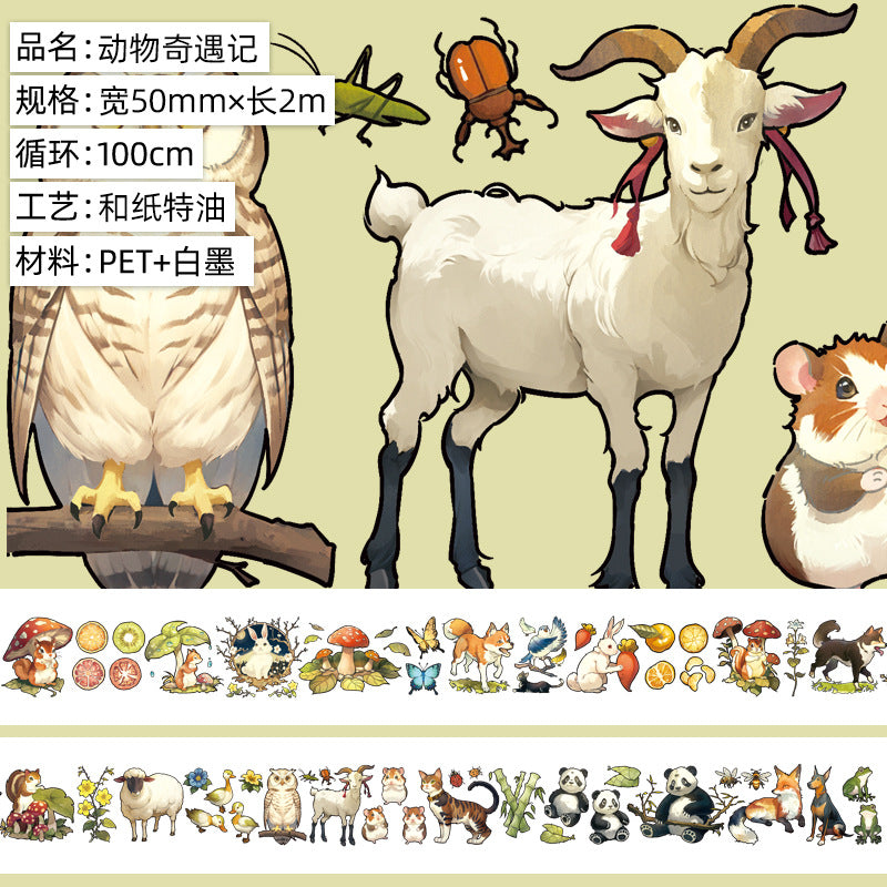 Dream Magic Cottage PET Tape – Castle & Landscape Collage - 2m - ViktaShop