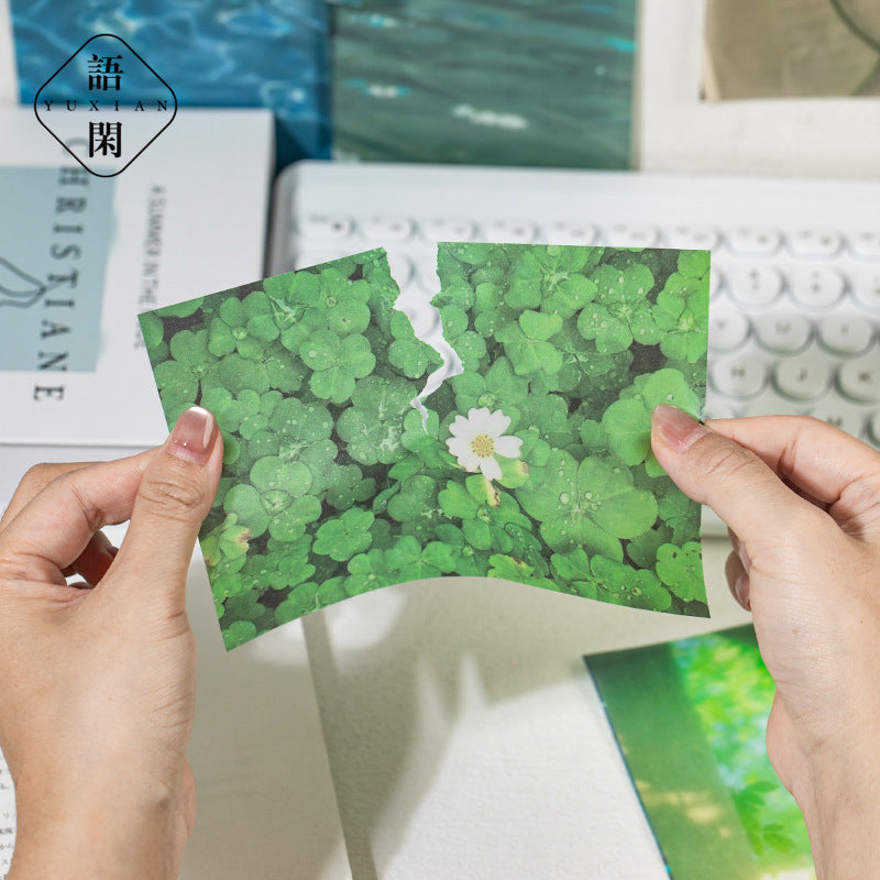 Spring tide paper 10 psc