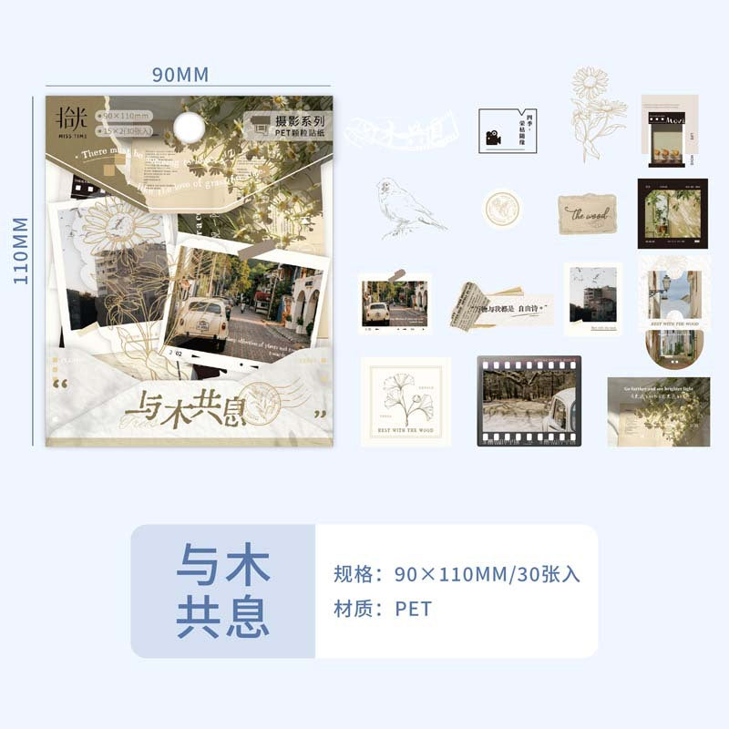 PET Prince Sticker Pack – Galaxy Letter & Landscape Style, 30 Pcs - ViktaShop