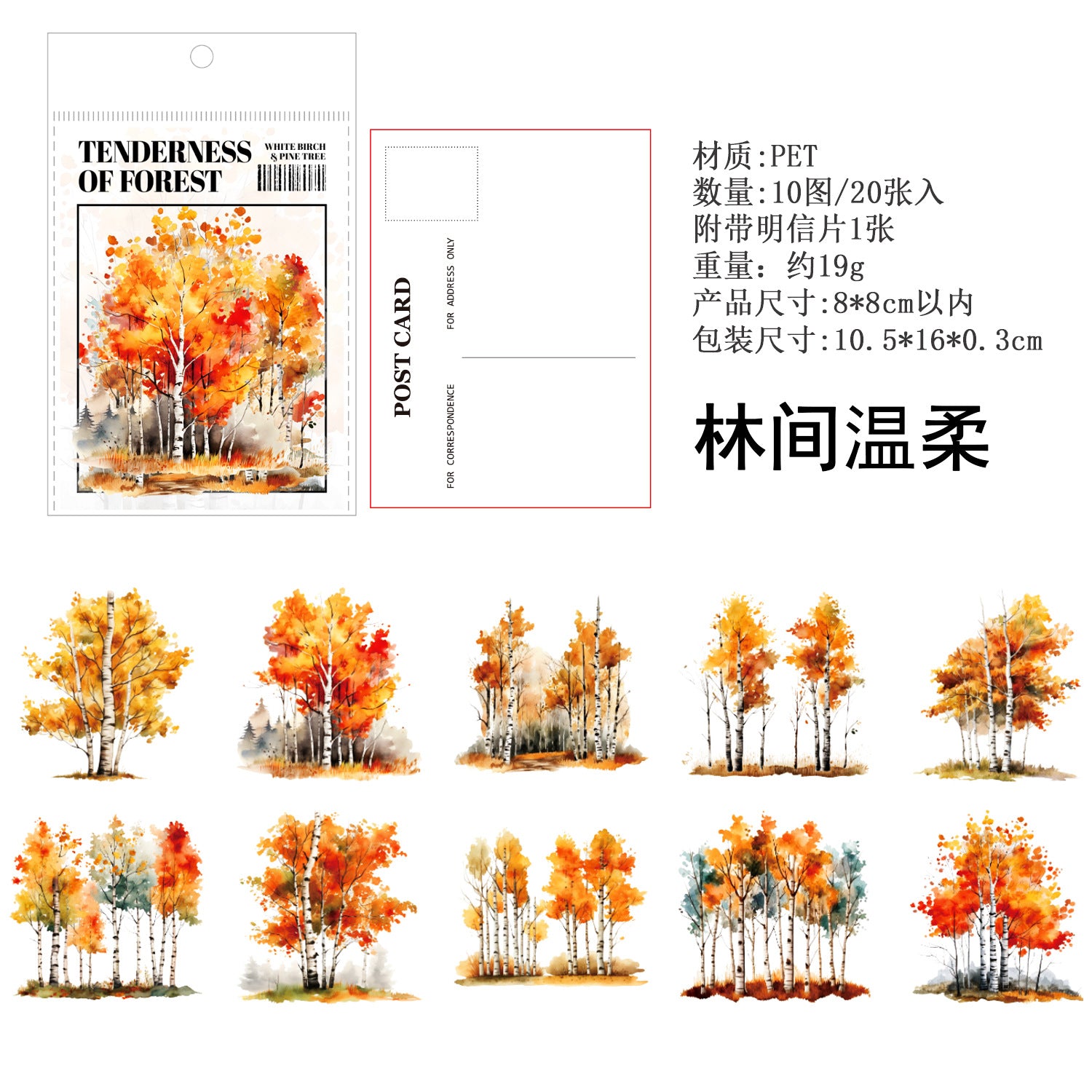 Mountain Forest Theme PET Sticker Pack, Birch & Pine Series, 20 Pcs - ViktaShop