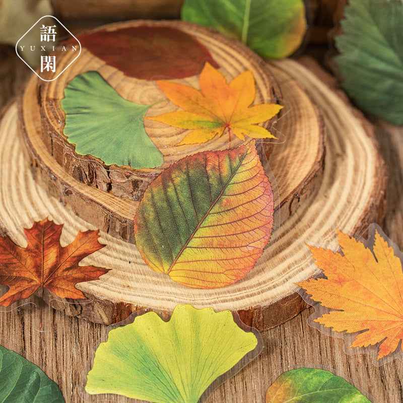 PET Leaf Sticker Pack - 40 Pcs