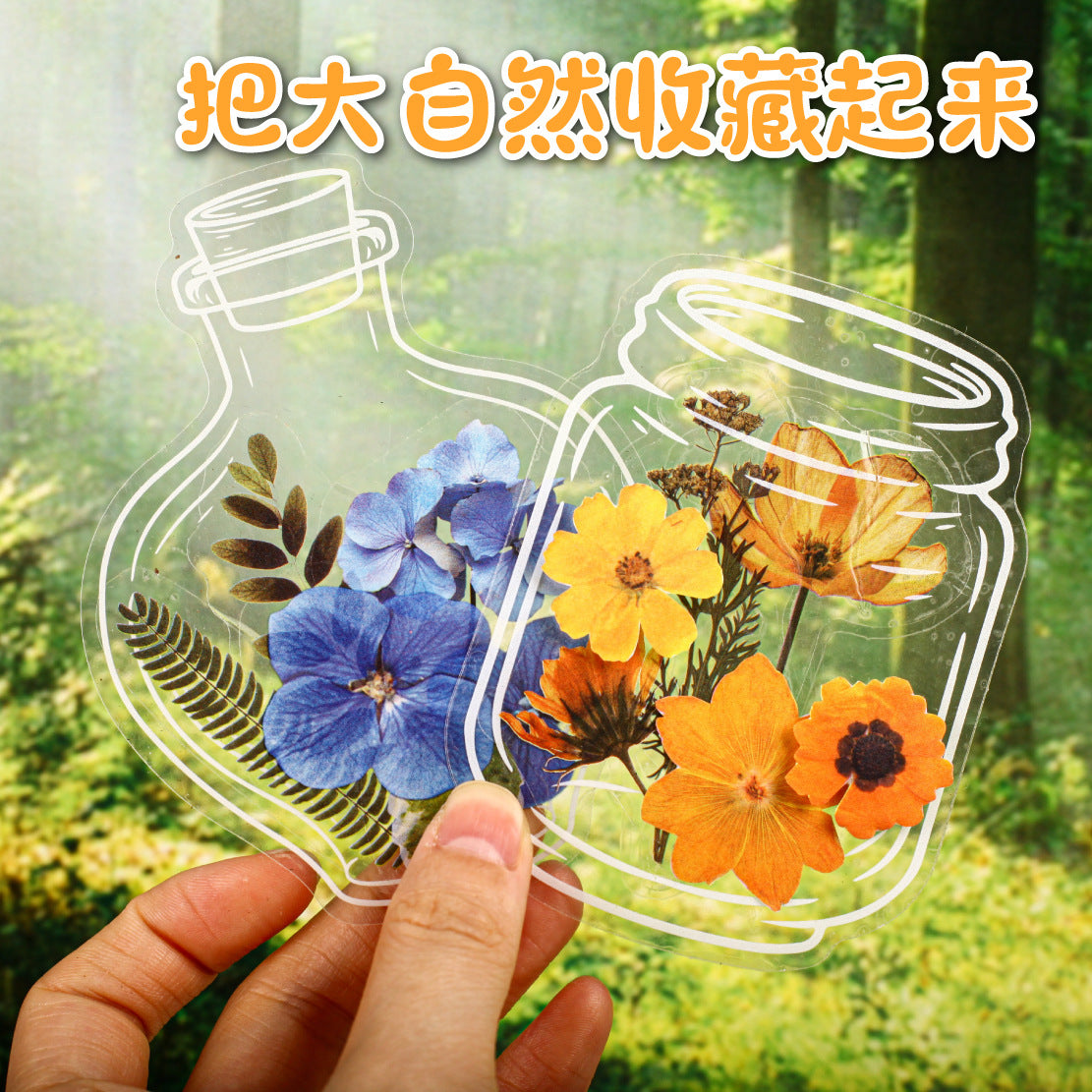 Dried Flower PET Sticker, 6 Options - ViktaShop