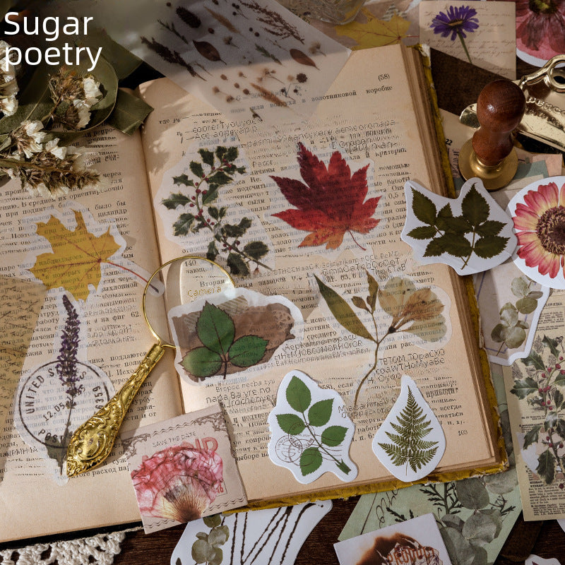 Vintage Design Stickers - Retro Aesthetic, 60 Pcs - ViktaShop