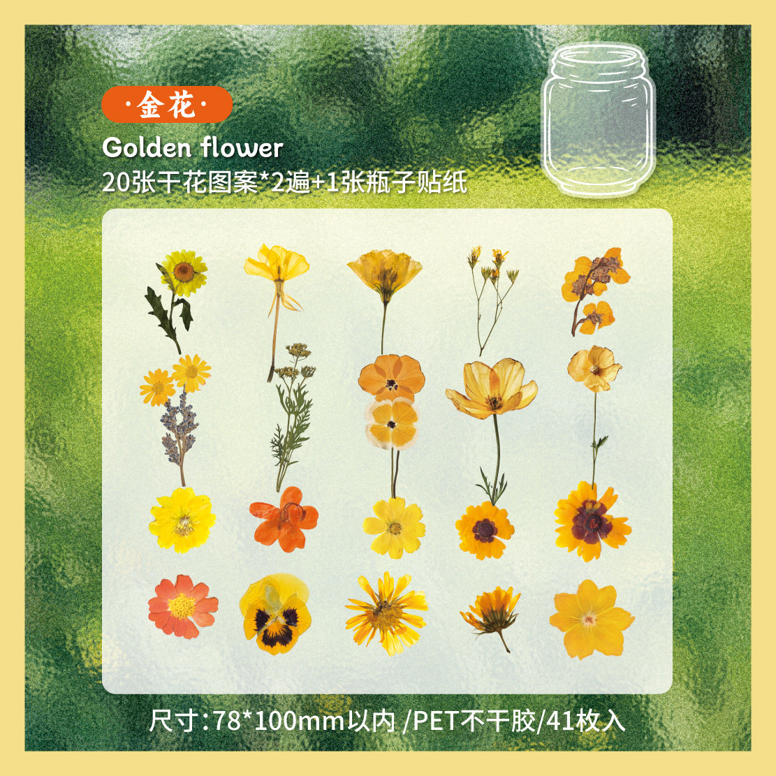 Dried Flower PET Sticker, 6 Options - ViktaShop