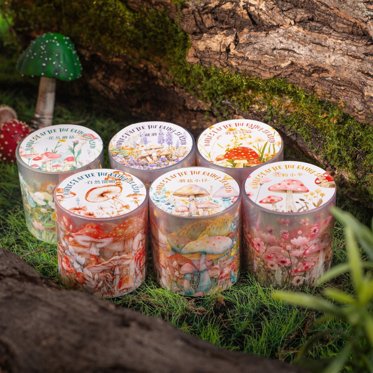 The rainy season series mushroom landscaping PET tape 6 types 4 cm / 2 m - Viktashop.com