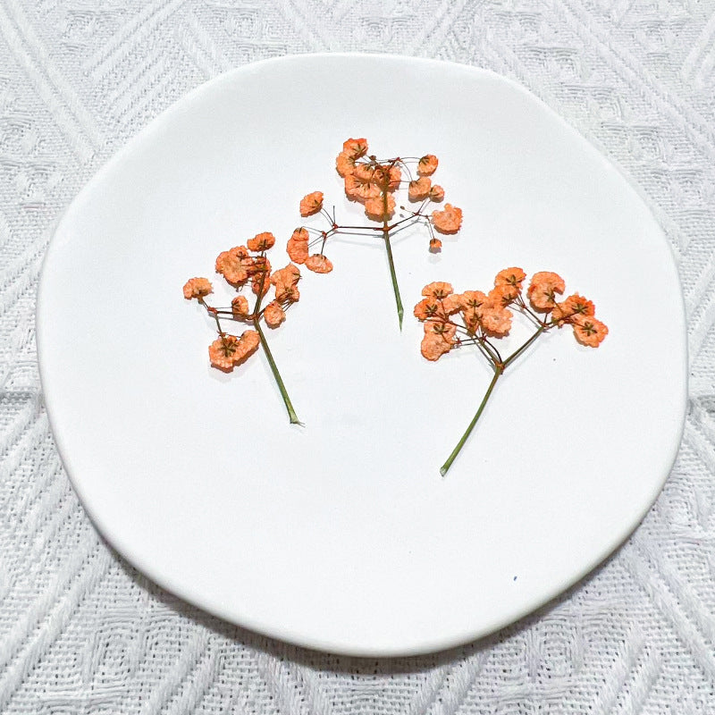 Dried Flower Stickers – Colorful Plant Material DIY, 9 Options - ViktaShop