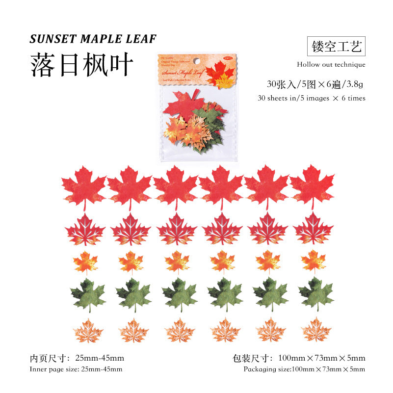 White Kraft Paper Hollow Material - Leaf Pickup Series, 30 Sheets - ViktaShop