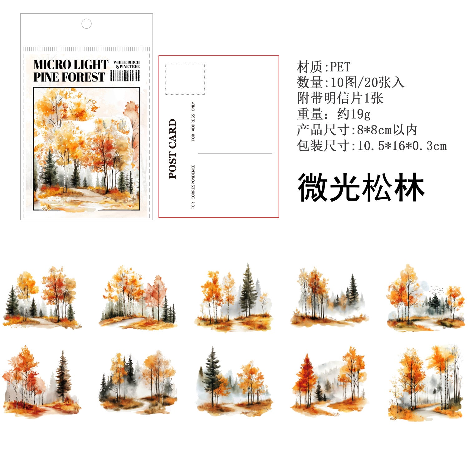 Mountain Forest Theme PET Sticker Pack, Birch & Pine Series, 20 Pcs - ViktaShop