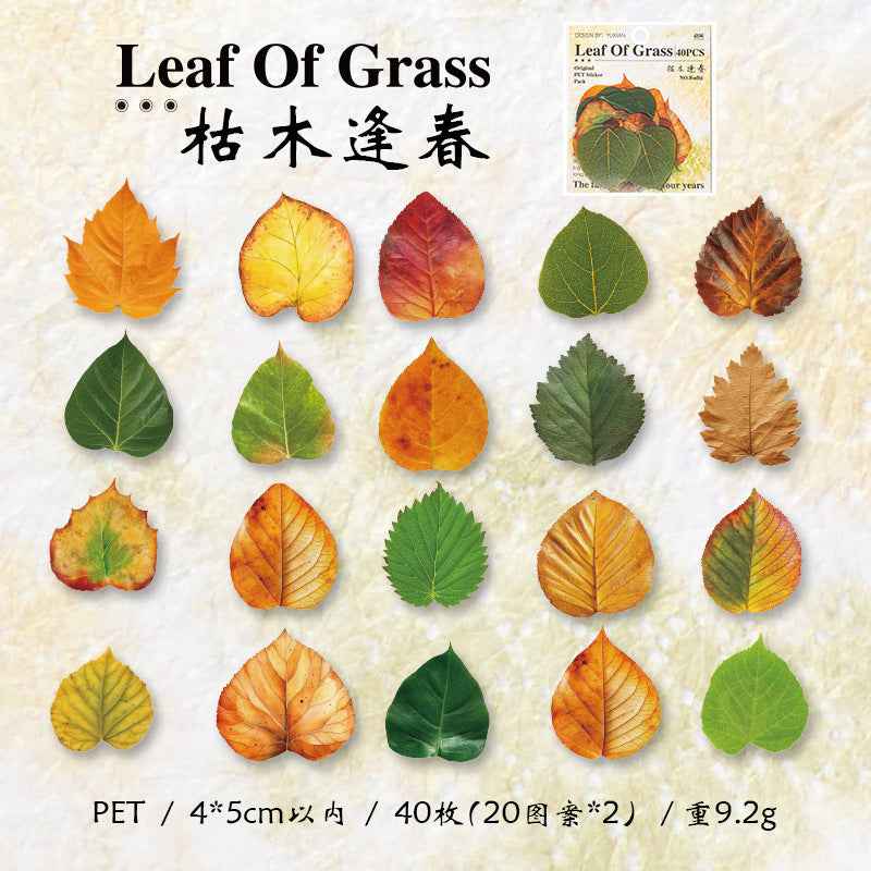 PET Leaf Sticker Pack - 40 Pcs