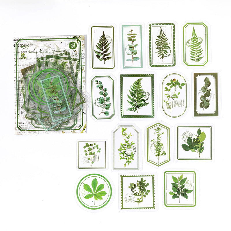 Fog Flower Series, PET Sticker Pack, Plant Theme, 30 Pcs - ViktaShop