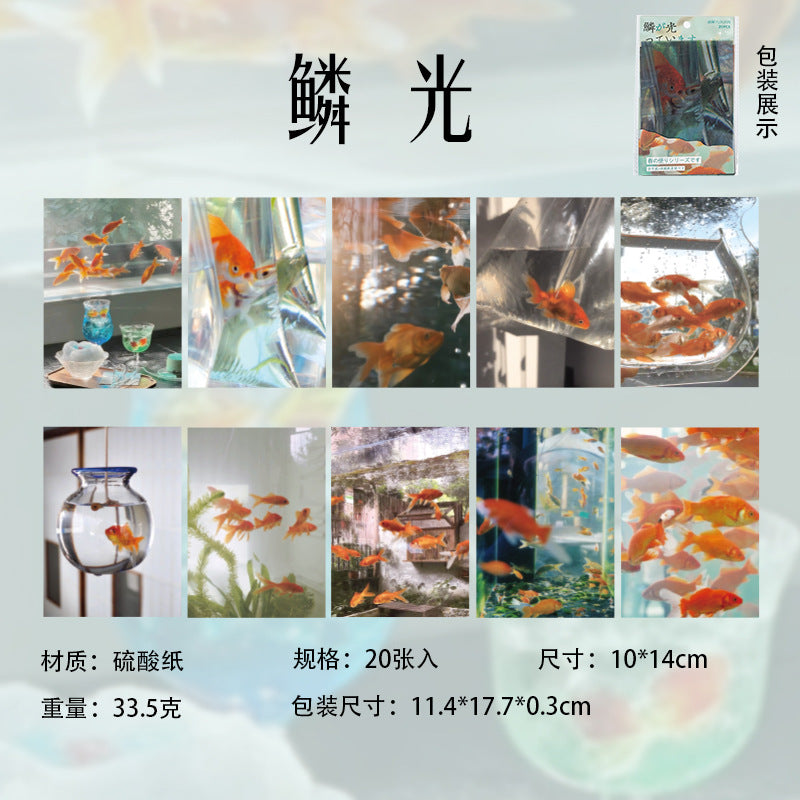 Spring tide paper 10 psc