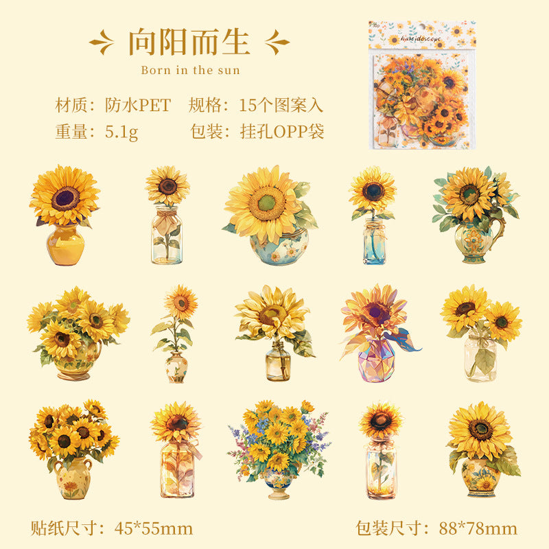 PET Sticker Pack, Kaleidoscope Series, 6 Options - ViktaShop