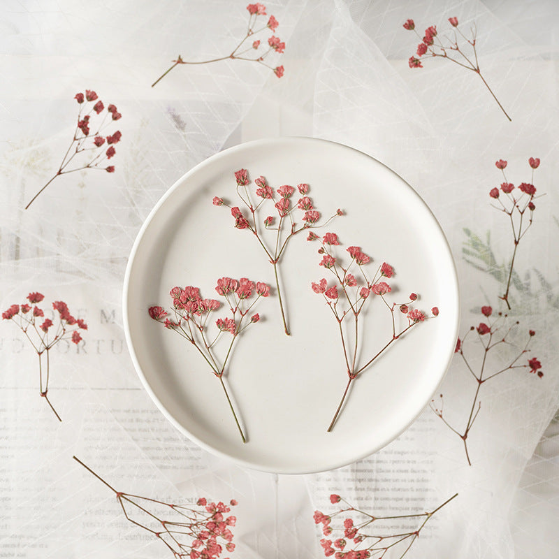 Dried Flower Stickers – Colorful Plant Material DIY, 9 Options - ViktaShop