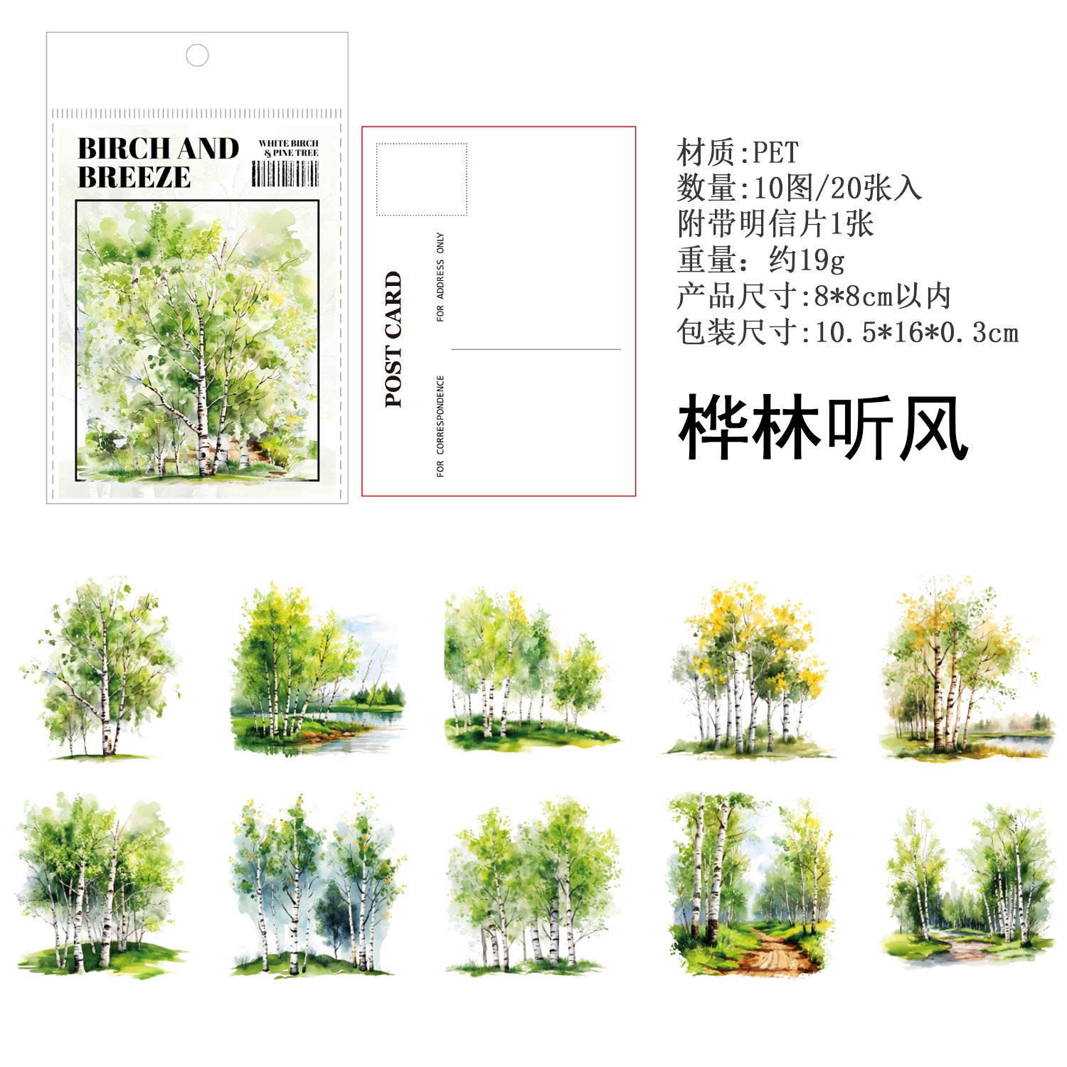 Mountain Forest Theme PET Sticker Pack, Birch & Pine Series, 20 Pcs - ViktaShop