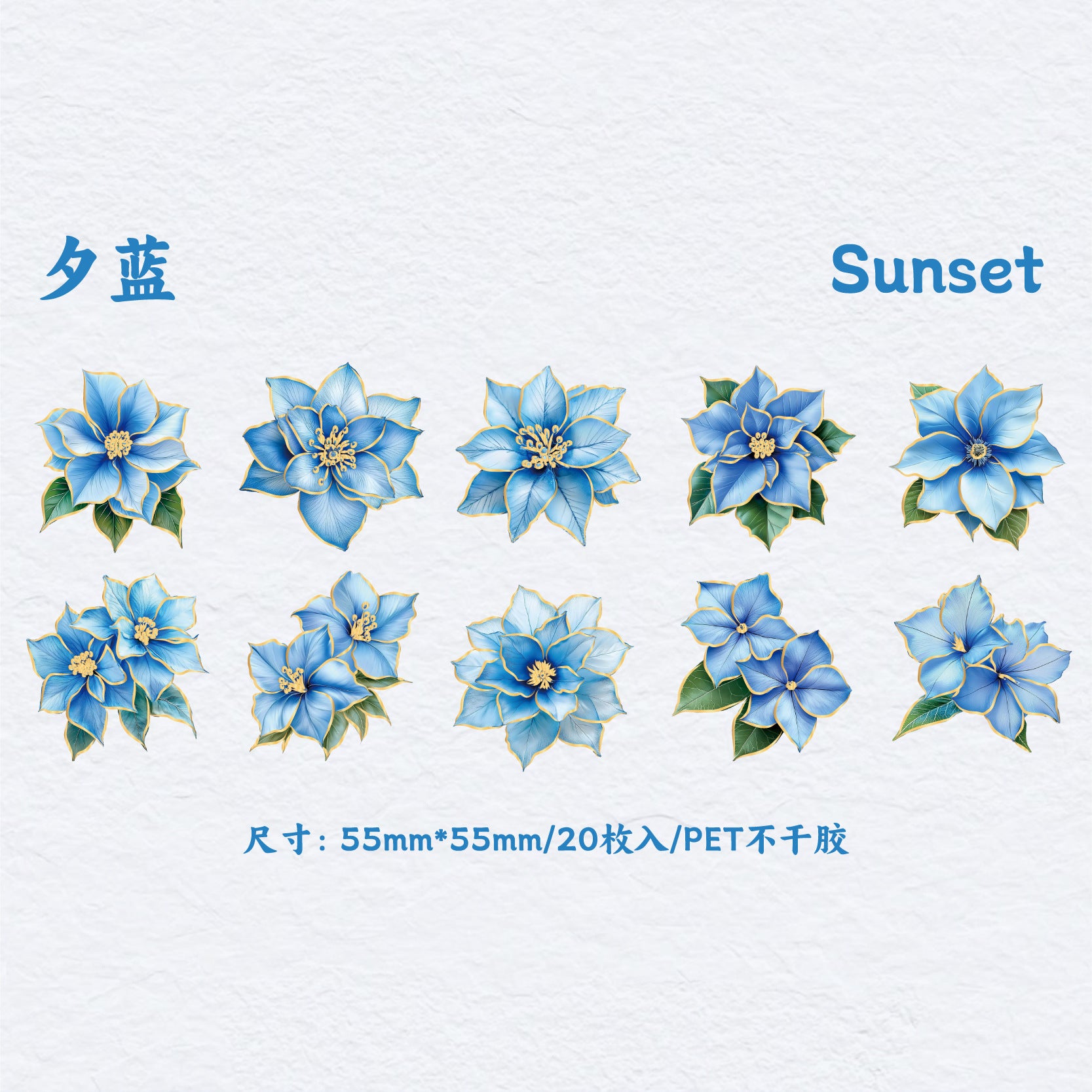 Flower PET Stickers – Creative DIY Hand Account Decoration, 6 Options - ViktaShop