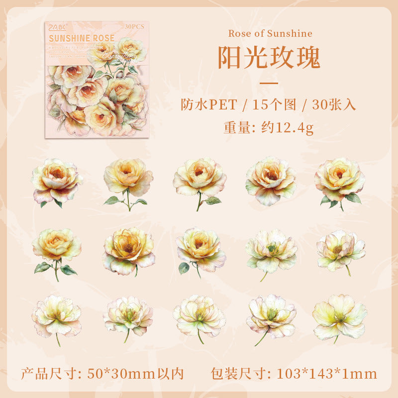 Flower Dance Transparent PET Stickers - Retro Rose for DIY - ViktaShop