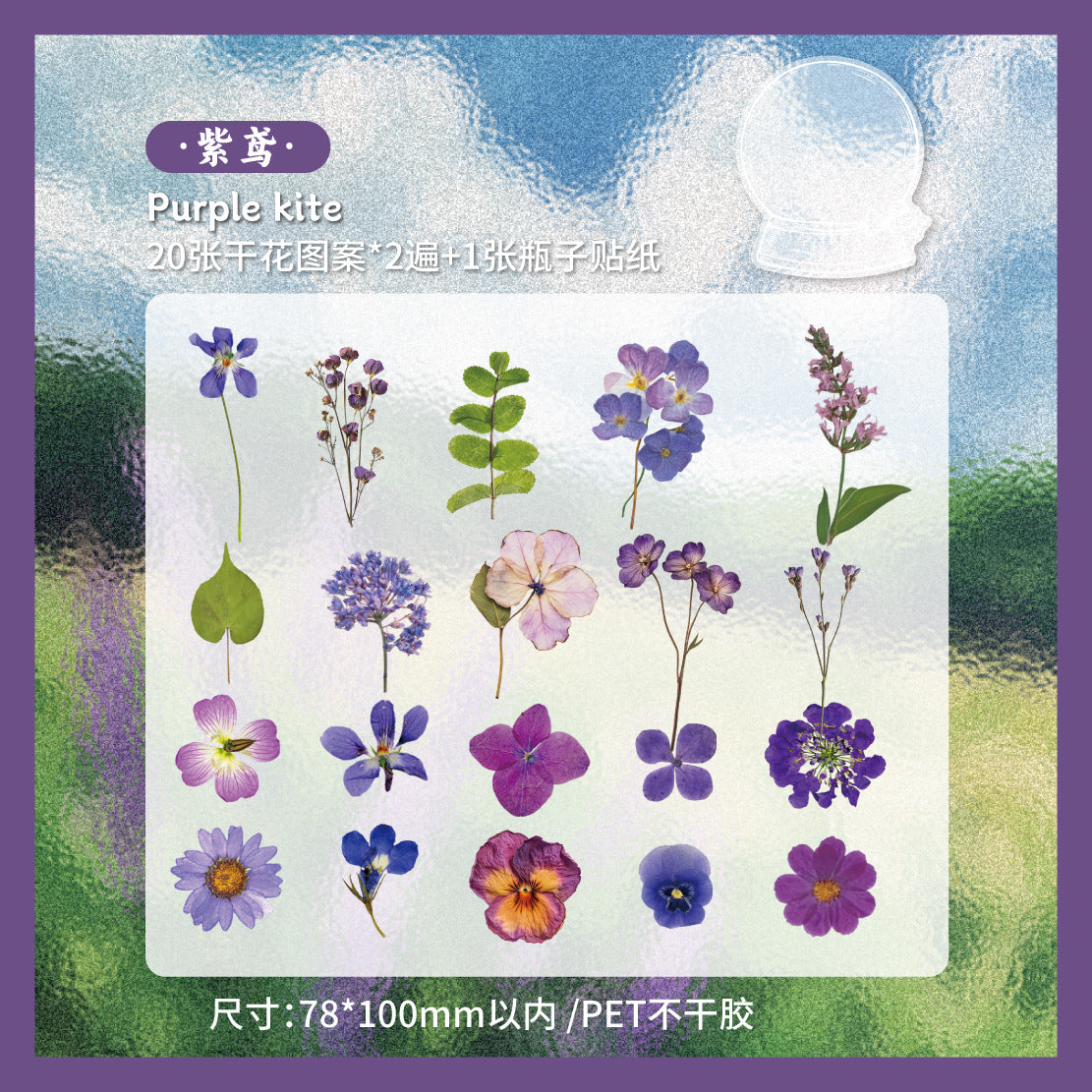 Dried Flower PET Sticker, 6 Options - ViktaShop