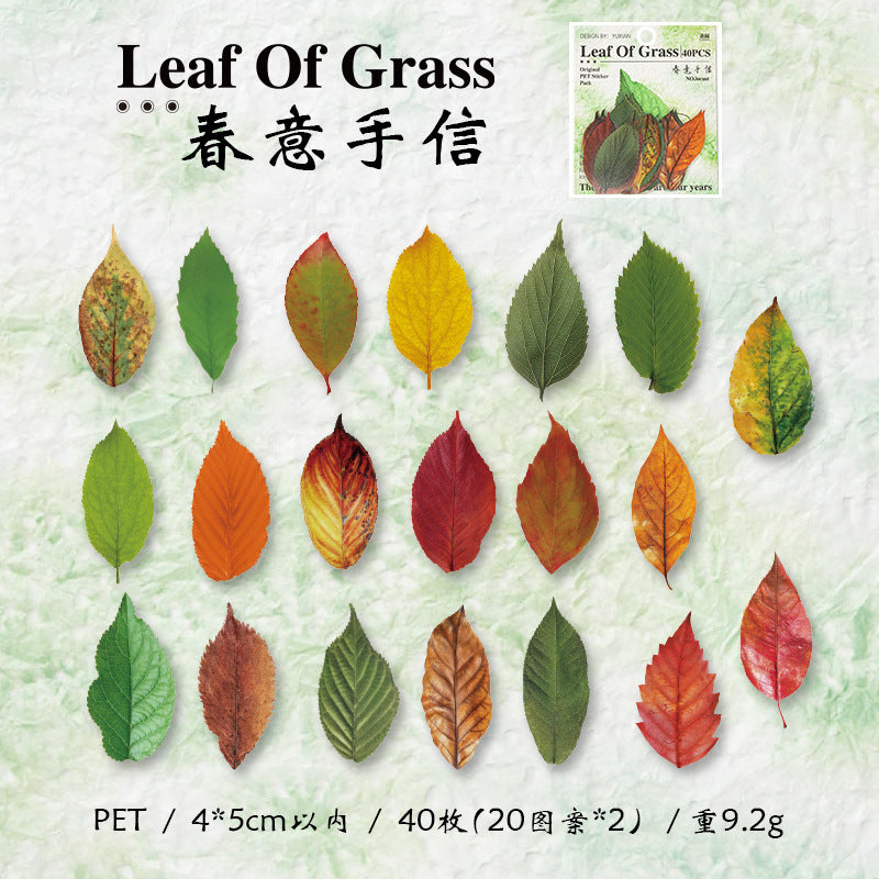 PET Leaf Sticker Pack - 40 Pcs - ViktaShop