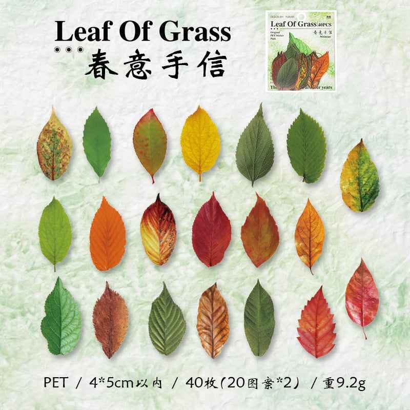 PET Leaf Sticker Pack - 40 Pcs