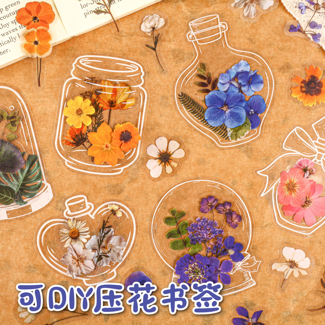 Dried Flower PET Sticker, 6 Options - ViktaShop