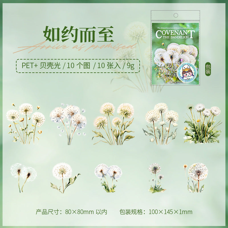 Dandelion Theme PET Sticker Pack, 10 Pcs - ViktaShop