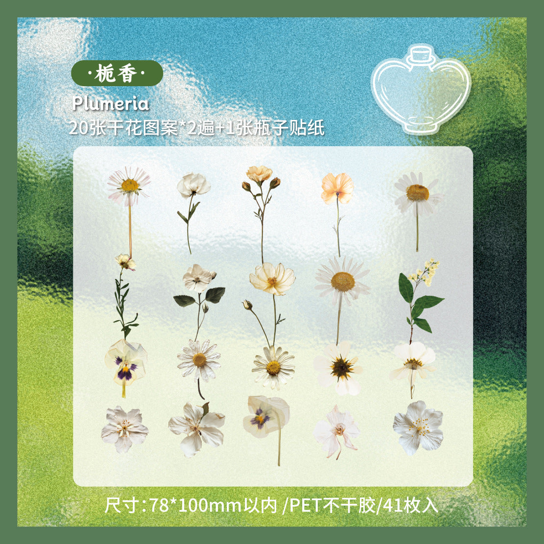 Dried Flower PET Sticker, 6 Options - ViktaShop