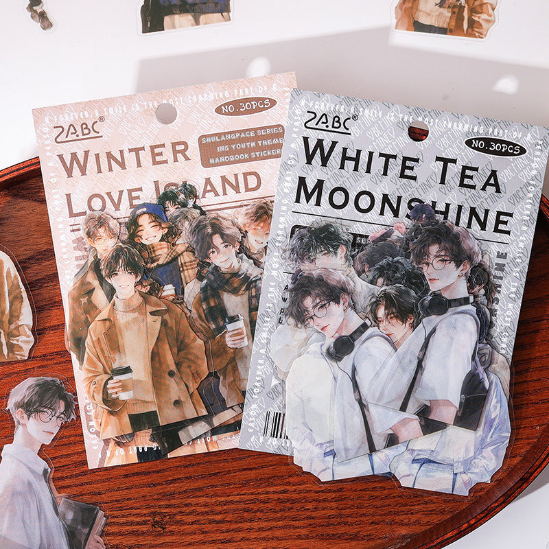 PET Stickers – Transparent Character Sticker Pack - ViktaShop