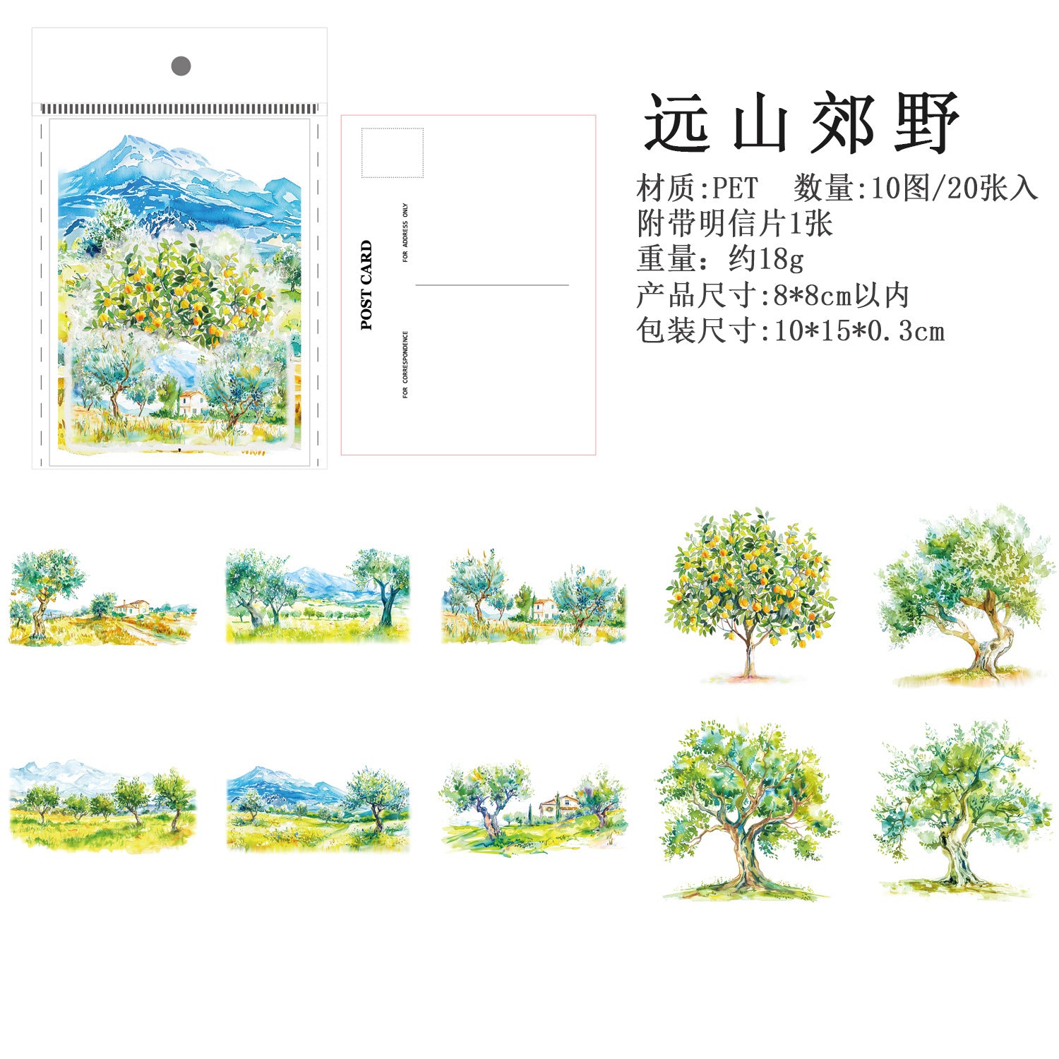 Ancient Forest PET Sticker for Scrapbooking & Journaling - ViktaShop