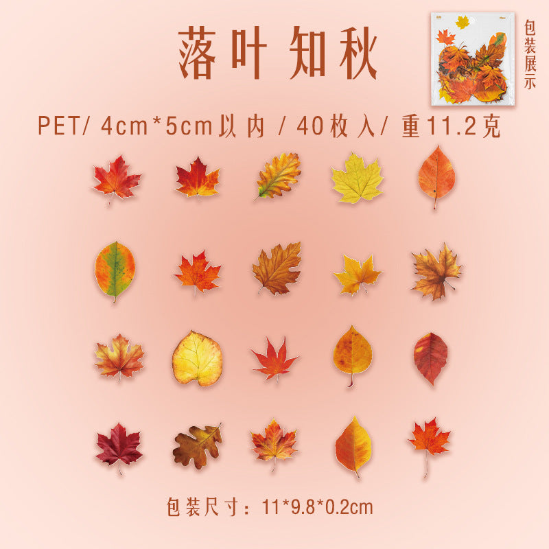 Leaf Theme Simulation Sticker – DIY Hand Account, 4 Options - ViktaShop