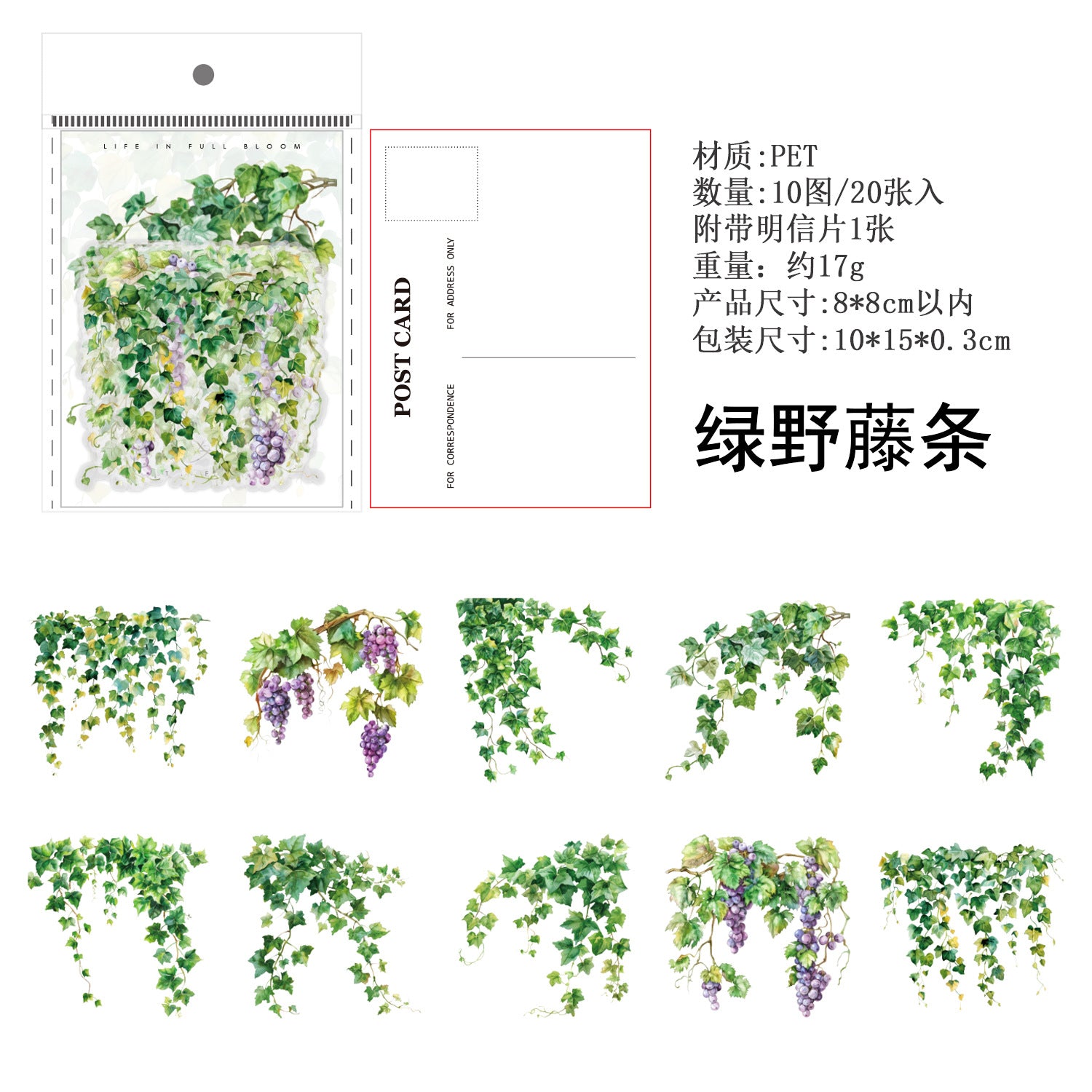 Ancient Forest PET Sticker Pack, Vine Branch & Flower Series, 6 Options - ViktaShop