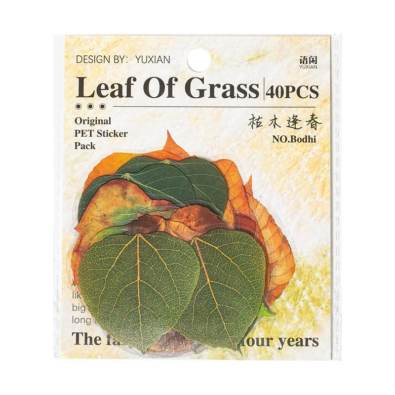 PET Leaf Sticker Pack - 40 Pcs - ViktaShop