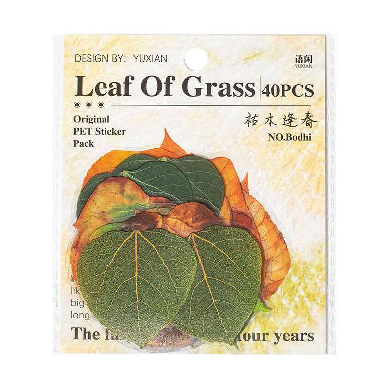 PET Leaf Sticker Pack - 40 Pcs