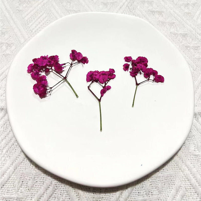 Dried Flower Stickers – Colorful Plant Material DIY, 9 Options - ViktaShop