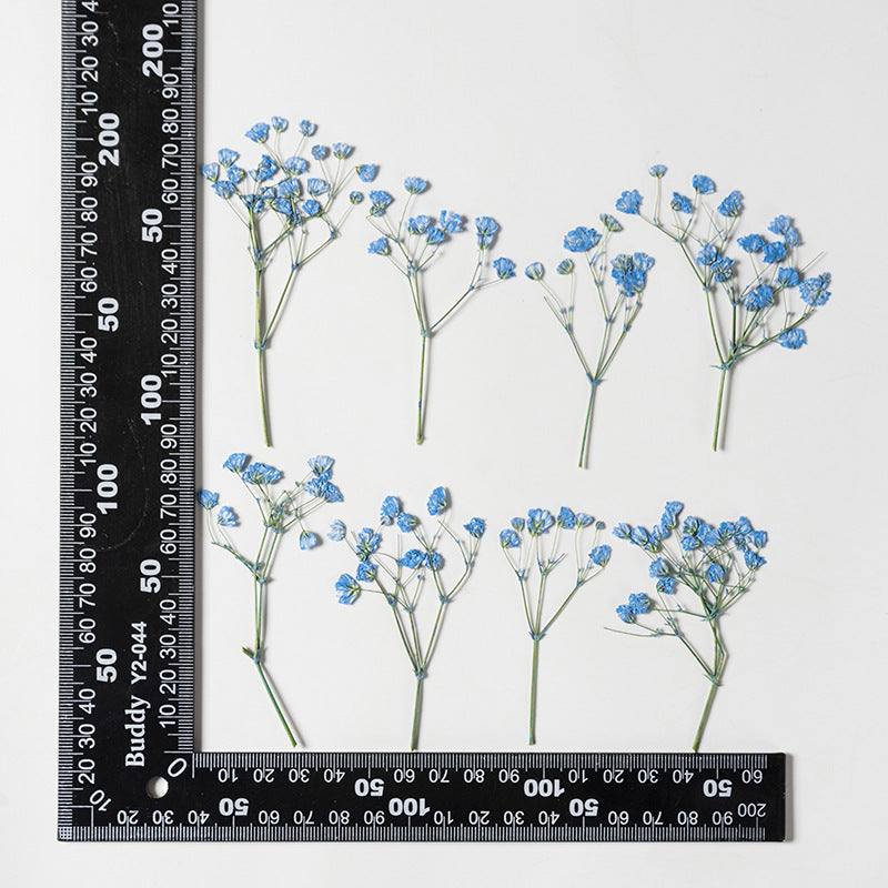 Dried Flower Stickers – Colorful Plant Material DIY, 9 Options - ViktaShop