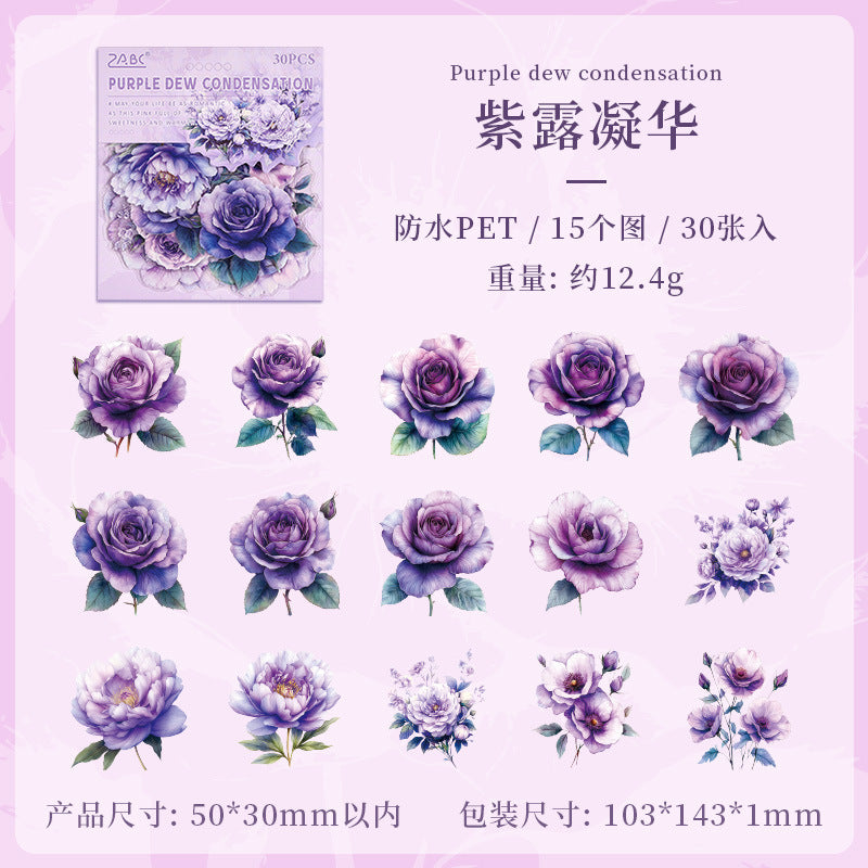 Flower Dance Transparent PET Stickers - Retro Rose for DIY - ViktaShop