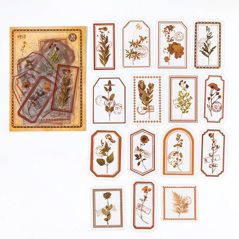 Fog Flower Series, PET Sticker Pack, Plant Theme, 30 Pcs - ViktaShop