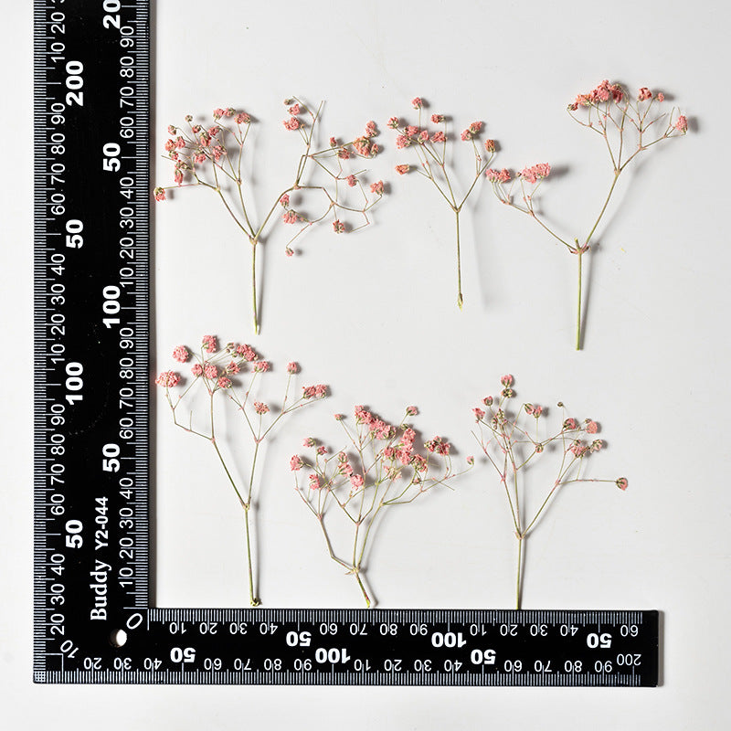 Dried Flower Stickers – Colorful Plant Material DIY, 9 Options - ViktaShop