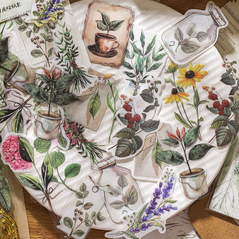 Paper Sticker Pack Time and Shadow Collection, 6 Options - ViktaShop