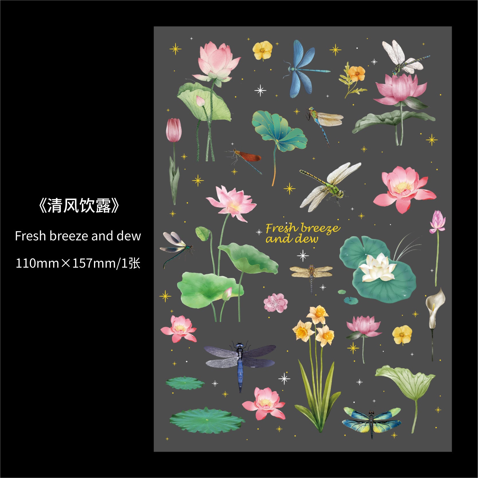 Dark Night Animal Shaped Retro Stickers – Creative PET Stickers, 6 Options - ViktaShop