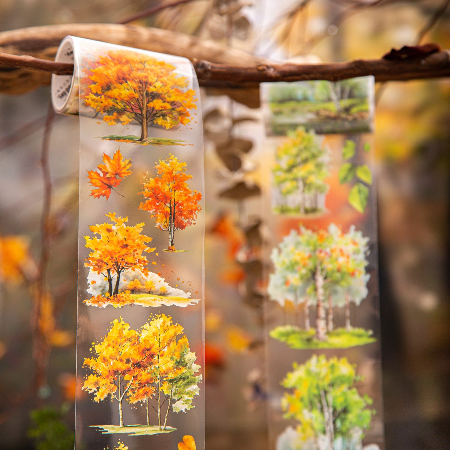 Tree and Forest PET Tape – Forest Landscape, 2m - ViktaShop